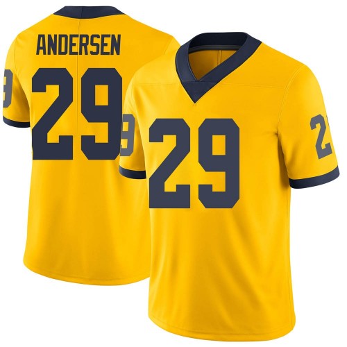 Rhett Andersen Michigan Wolverines Men's NCAA #29 Maize Limited Brand Jordan College Stitched Football Jersey TSA5454AV